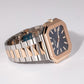 Patek Phillipe Cubitus Date Rose Gold & Steel